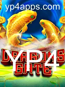 Descubra DragonsGate: Um Mundo de Aventuras e Estratégias com YP4